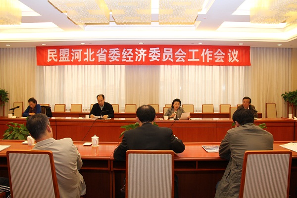 民盟省委经济委员会召开工作会议(图1)