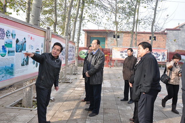 民盟河北省委副主委鲁平就新农村建设和农村养老问题赴邯郸成安、肥乡县调研(图2)