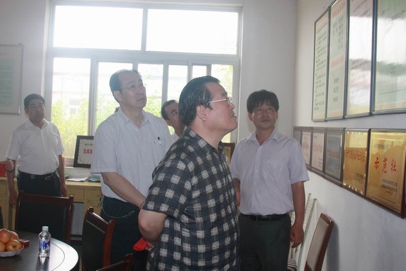 民盟河北省委主委边发吉、副主委鲁平赴沧州市青县调研(图1)