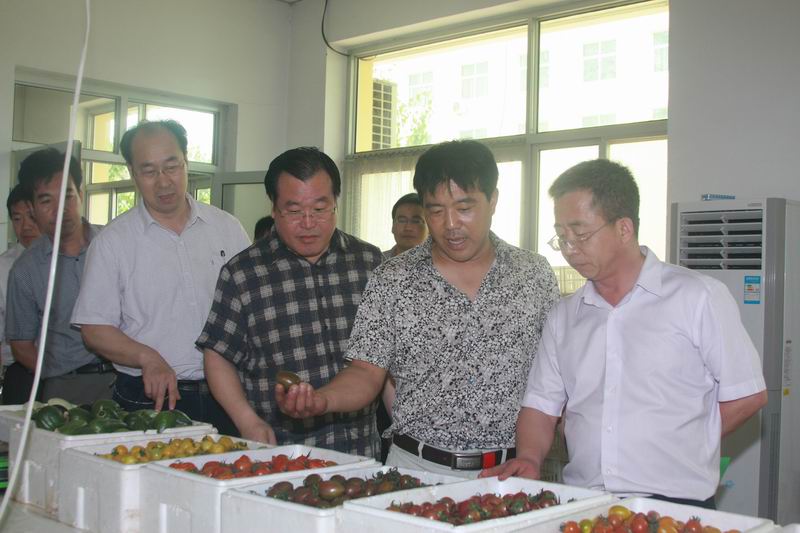 民盟河北省委主委边发吉、副主委鲁平赴沧州市青县调研(图8)
