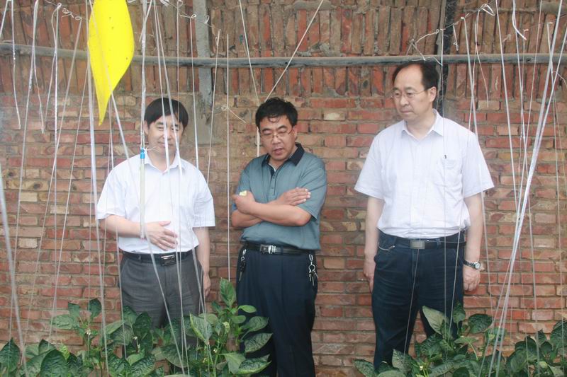 民盟河北省委主委边发吉、副主委鲁平赴沧州市青县调研(图7)