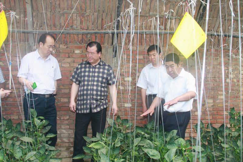 民盟河北省委主委边发吉、副主委鲁平赴沧州市青县调研(图6)