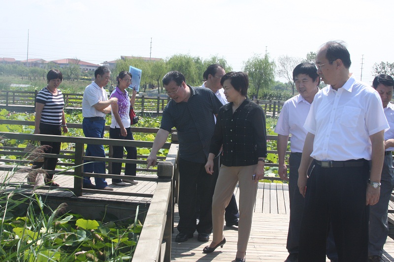 民盟河北省委主委边发吉赴衡水湖调研(图2)