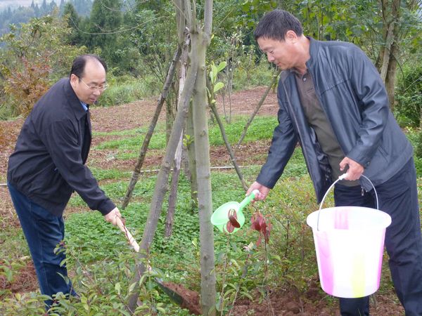 民盟社会服务工作暨“黄丝带”帮教计划研讨会在四川召开(图2)