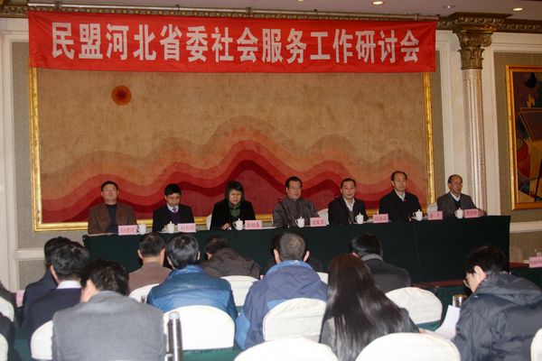 民盟河北省委召开社会服务工作研讨会(图1)