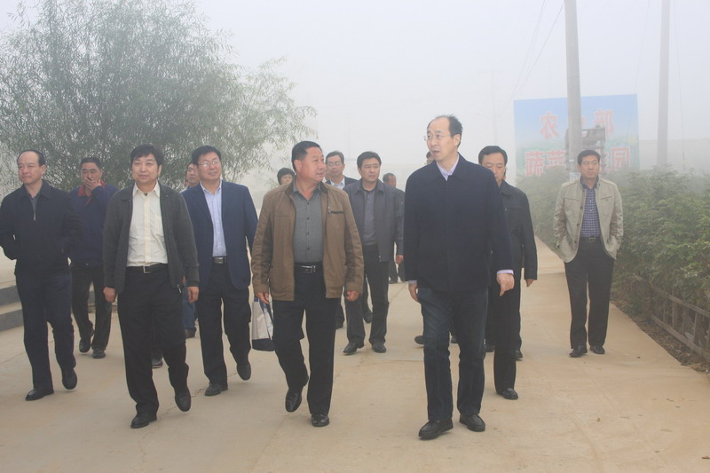 鲁平副主委赴保定市涞水县调研(图1)