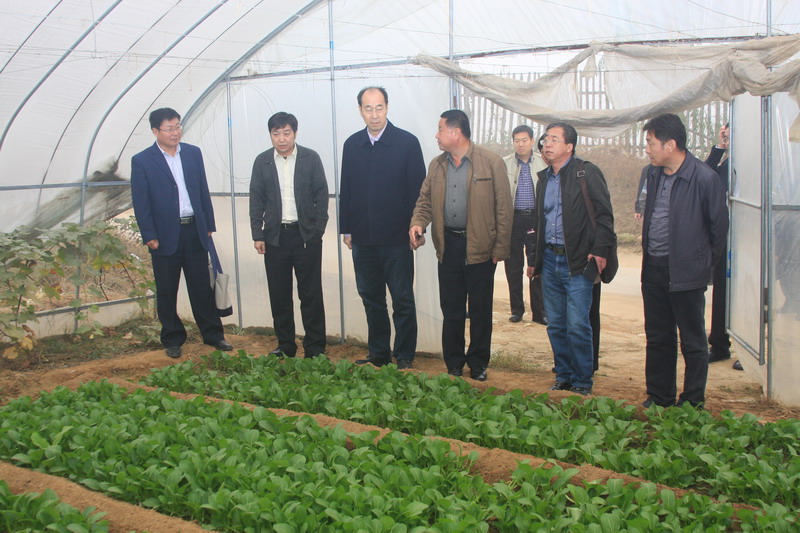 鲁平副主委赴保定市涞水县调研(图2)