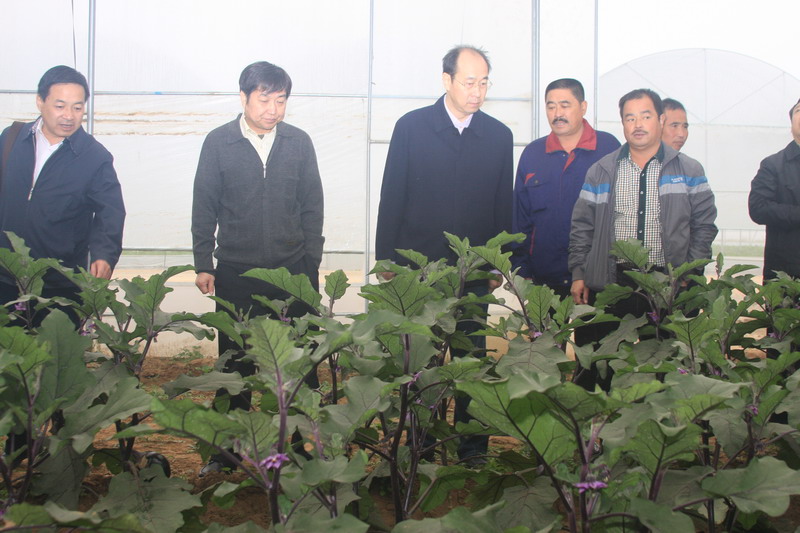 鲁平副主委赴保定市涞水县调研(图3)