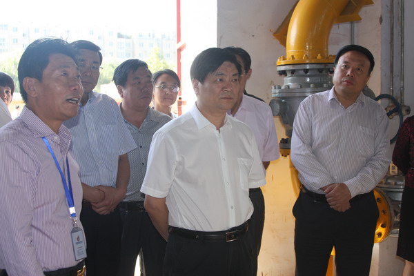 为了同一片蓝天——省民盟1号提案三连冠侧记(图6)
