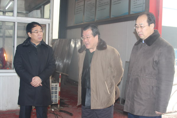 为了同一片蓝天——省民盟1号提案三连冠侧记(图7)