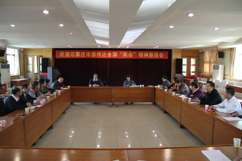 民盟石家庄市委召开传达全国＂两会＂精神座谈会(图1)