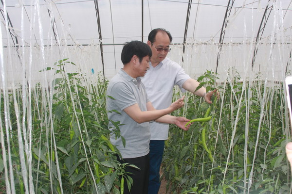 鲁平副主委就《加快太行山区生态产业发展》赴河南省新乡、鹤壁、安阳调研(图10)