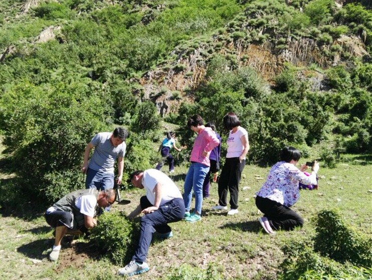 民盟河北旅游职业学院支部 组织盟员到多伦、围场等地进行调研(图1)