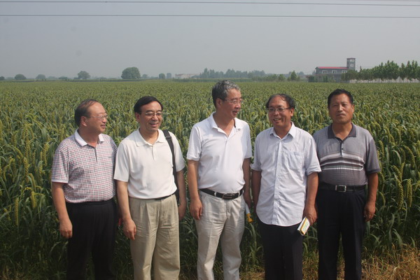 杨玉成、田咏副主委到邢台市巨鹿县调研(图5) 杨玉成、田咏副主委到邢台市巨鹿县调研(图5)