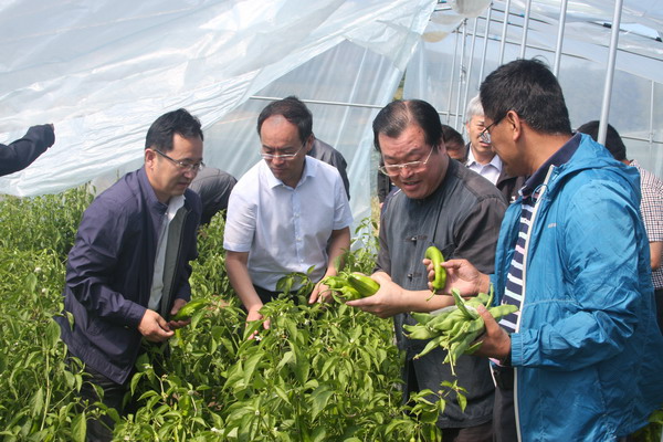 边发吉主委到张家口市张北县调研(图5) 边发吉主委到张家口市张北县调研(图5)