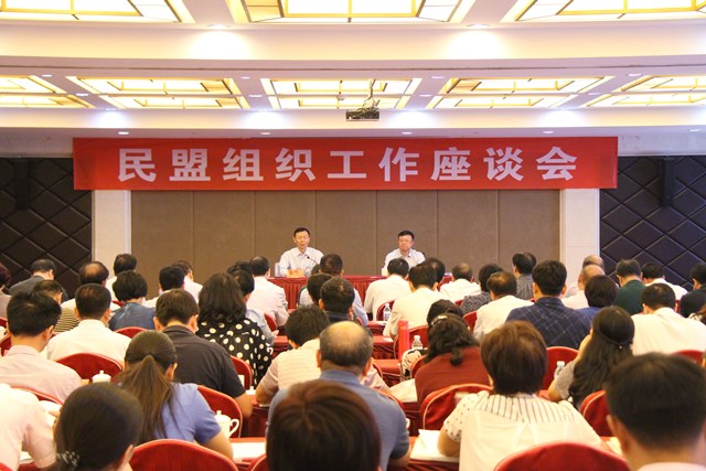 边发吉主委出席民盟组织工作座谈会(图3)
