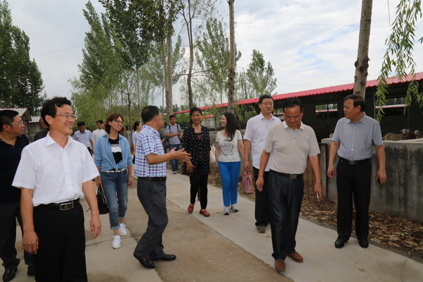 张朝军副主委到保定涿州调研盟务工作(图4) 张朝军副主委到保定涿州调研盟务工作(图4)