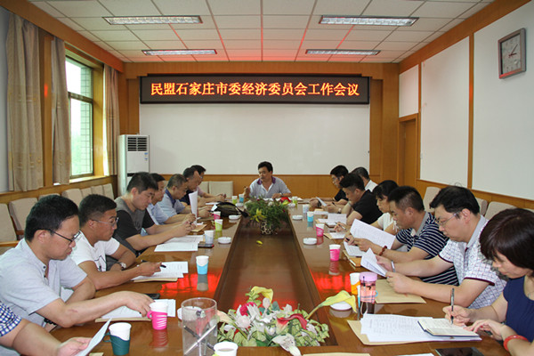 民盟石家庄市委经济委员会召开工作会议(图1)