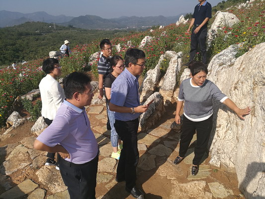 张福成副主委到唐山市迁西县和滦县调研(图7)