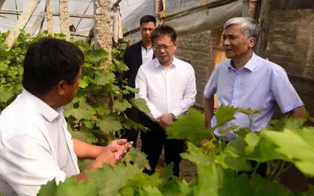 丁仲礼主席赴广宗县专题调研扶贫工作(图4)