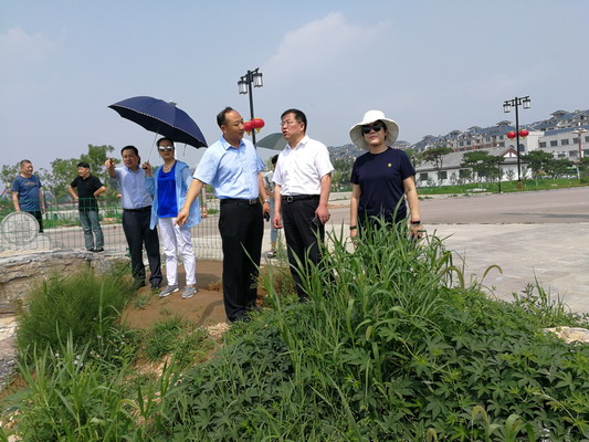 郭斌副主委赴保定就白洋淀流域上游河道治理调研(图6) 郭斌副主委赴保定就白洋淀流域上游河道治理调研(图6)