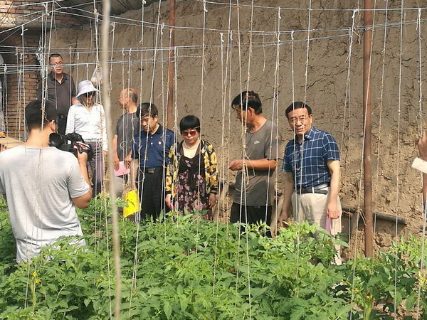 杨玉成副主委到张家口市怀安县调研(图1) 杨玉成副主委到张家口市怀安县调研(图1)