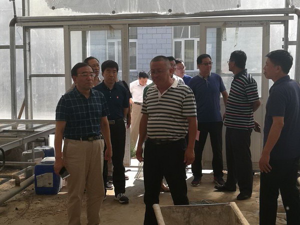 杨玉成副主委到张家口市怀安县调研(图2) 杨玉成副主委到张家口市怀安县调研(图2)