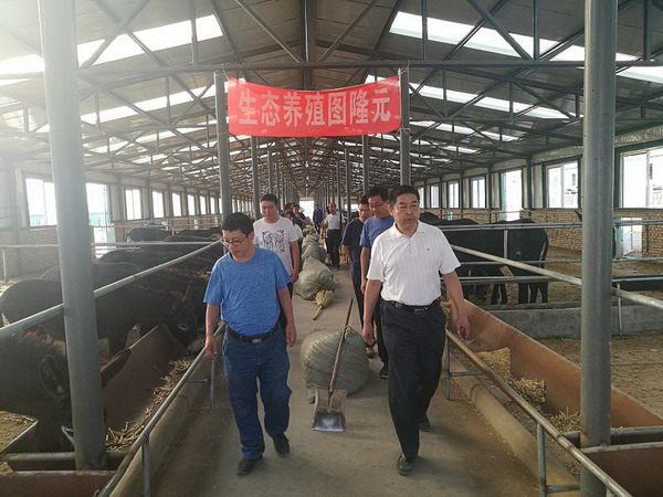 杨玉成副主委到张家口市怀安县调研(图6) 杨玉成副主委到张家口市怀安县调研(图6)