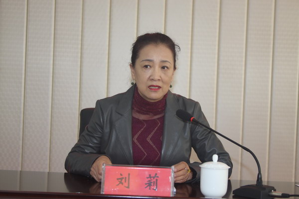 民盟河北省委召开2018年专委会主任工作会议(图4)