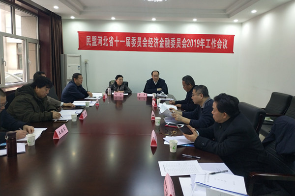 民盟河北省委经济金融委召开2019年工作会议(图1)