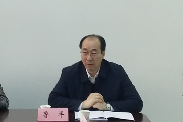 民盟河北省委经济金融委召开2019年工作会议(图2)