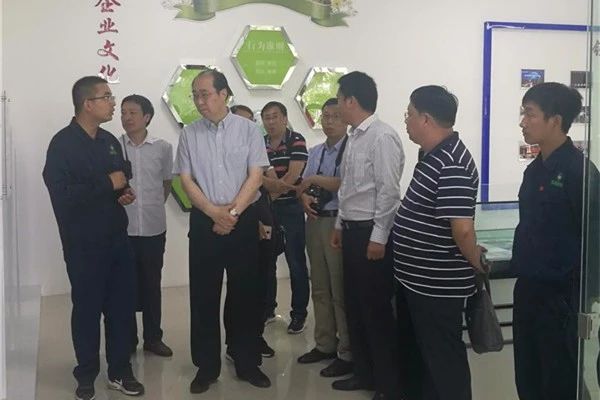 鲁平副主委就《固废污染防治与综合利用》到江苏省徐州市调研(图5) 鲁平副主委就《固废污染防治与综合利用》到江苏省徐州市调研(图5)
