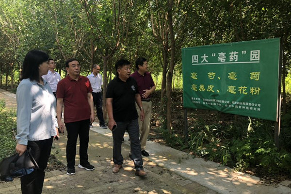 杨玉成副主委带队赴安徽亳州开展中医药产业创新发展调研(图2)