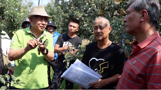 反映盟员孙建设事迹的时代报告剧《脱贫先锋》正在河北顺平和阜平两地热拍(图2)