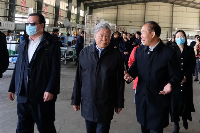 龙庄伟副主席率队到河北阜平就 “产业助力乡村振兴”进行调研(图2) 龙庄伟副主席率队到河北阜平就 “产业助力乡村振兴”进行调研(图2)