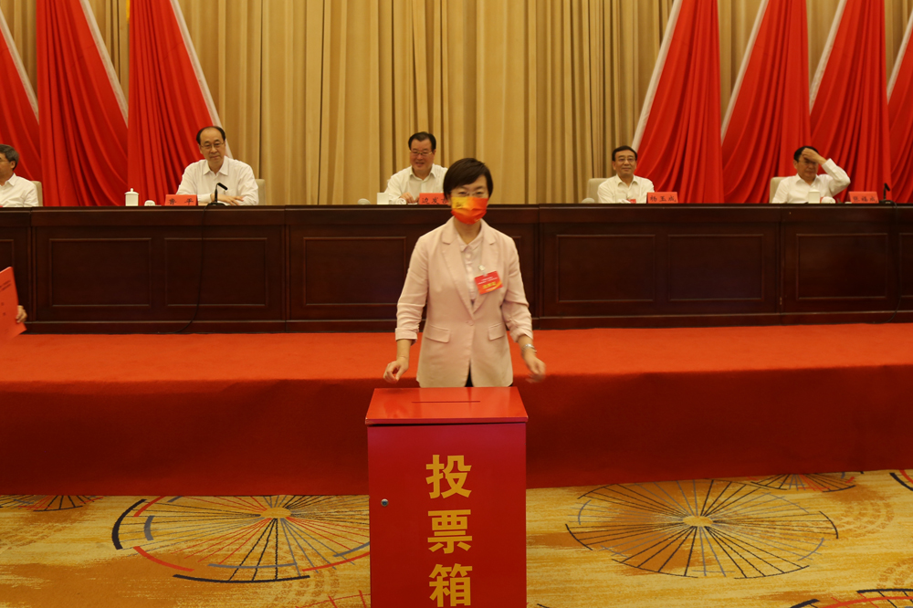 蒲月英投票(图1)