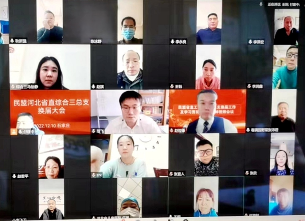 民盟河北省直综合三总支召开换届工作视频会议 (图1)