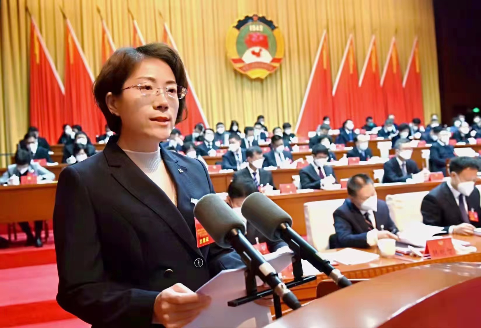 【聚焦两会】展民盟风采 显委员担当(图2)