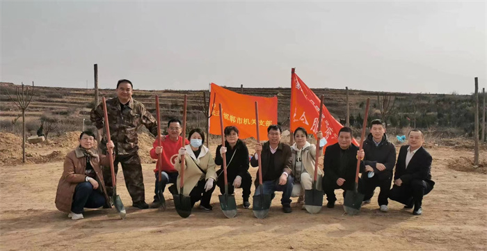 邯郸民盟基层组织积极参与植树活动(图1)