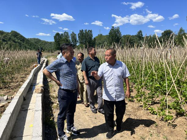 民盟河北省直综合三总支赴阜平县开展乡村振兴调研活动(图2)