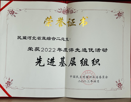 民盟河北省直综合二总支召开“凝心铸魂强根基、团结奋进新征程”主题教育学习会暨2023上半年工作会议(图3)