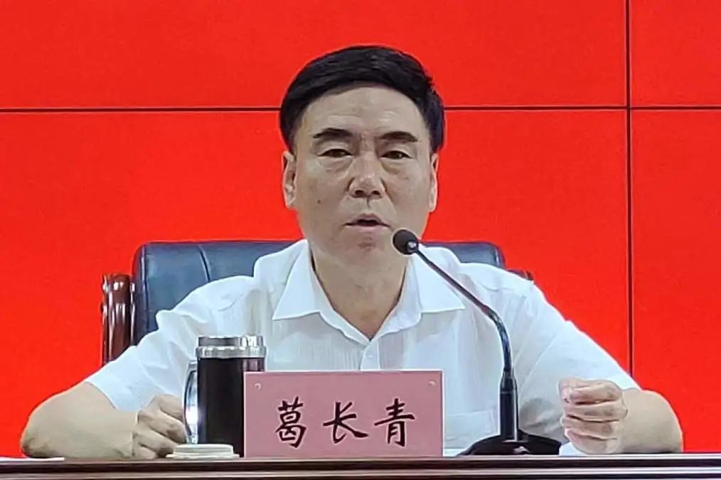 民盟保定市委召开“凝心铸魂强根基、团结奋进新征程”主题教育推进会(图2)