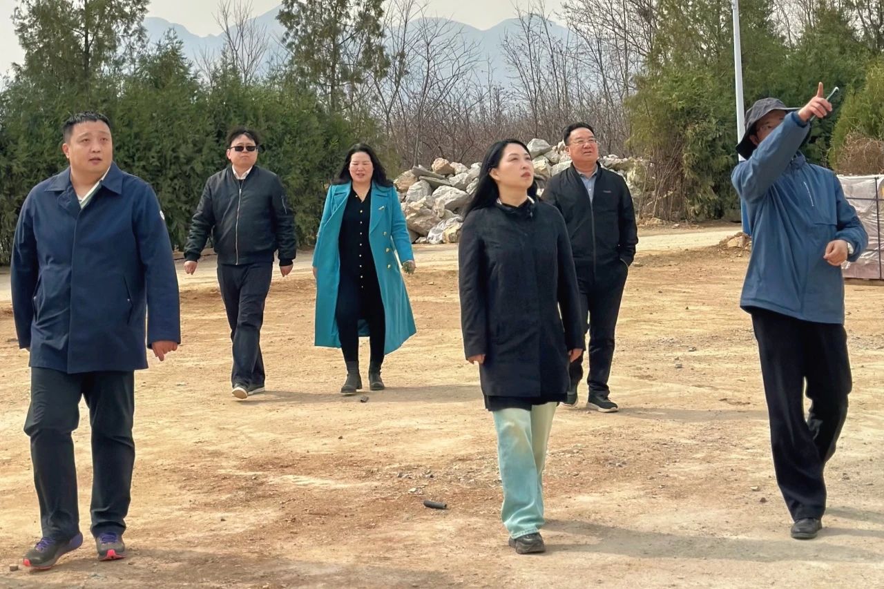 民盟保定市委开展“加强文物保护利用和文化遗产保护传承”专题调研(图1)