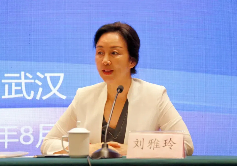 盟员信息系统培训班暨组织发展中期推进会在武汉召开(图3)