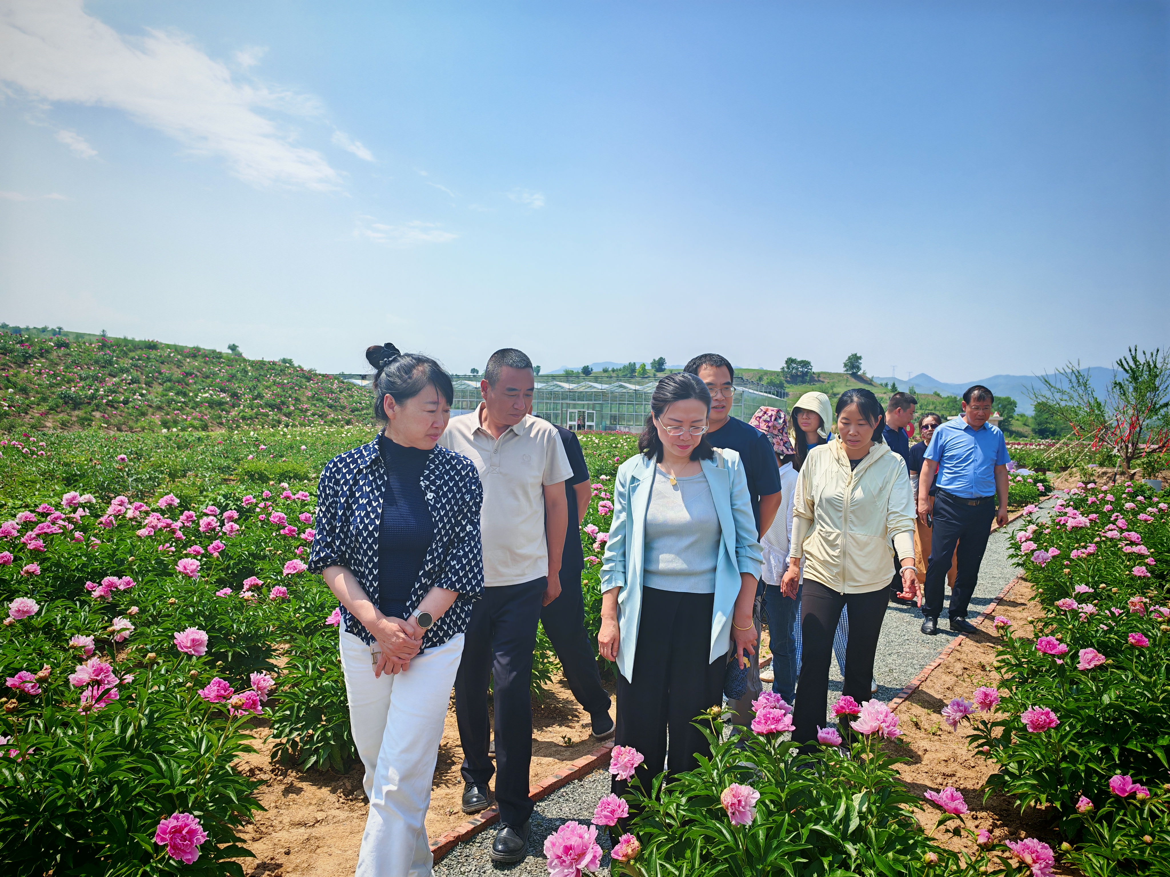 民盟市委调研组赴赤城县开展调研(图1)