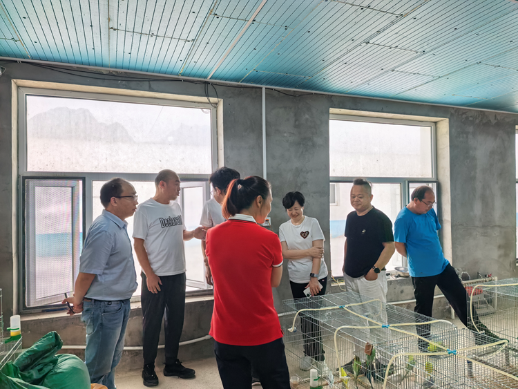 民盟河北省直盟员走进阳原县开展助力乡村振兴活动(图1)