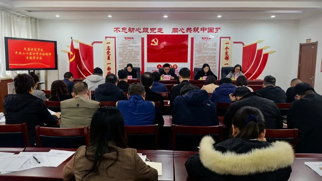 民盟保定市委召开中共二十届四中全会精神专题学习会(图1) 民盟保定市委召开中共二十届四中全会精神专题学习会(图1)
