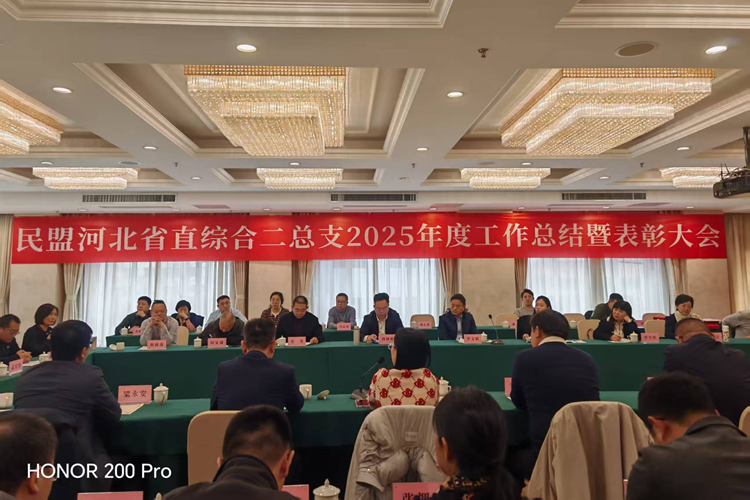民盟河北省直综合二总支2025年度工作总结暨表彰大会顺利召开(图1)