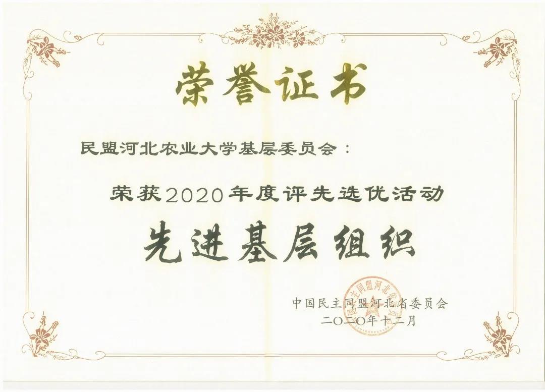 民盟保定市委2020年度多项工作荣获民盟省委表彰(图10)