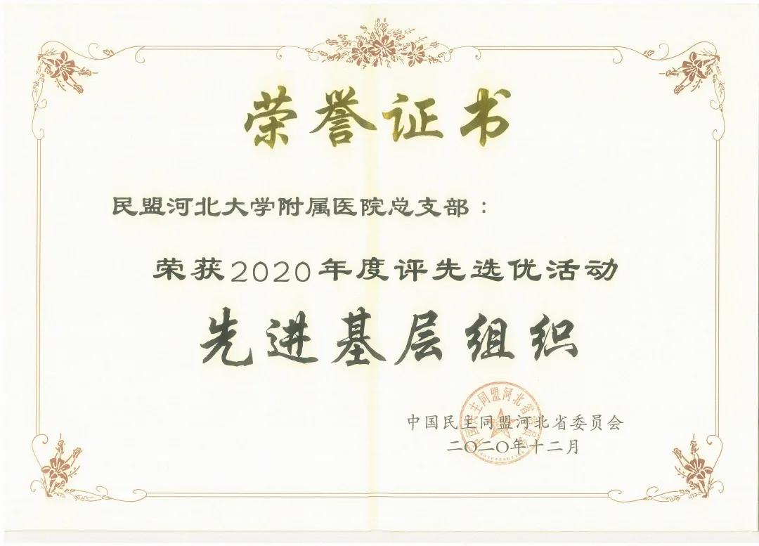 民盟保定市委2020年度多项工作荣获民盟省委表彰(图11)